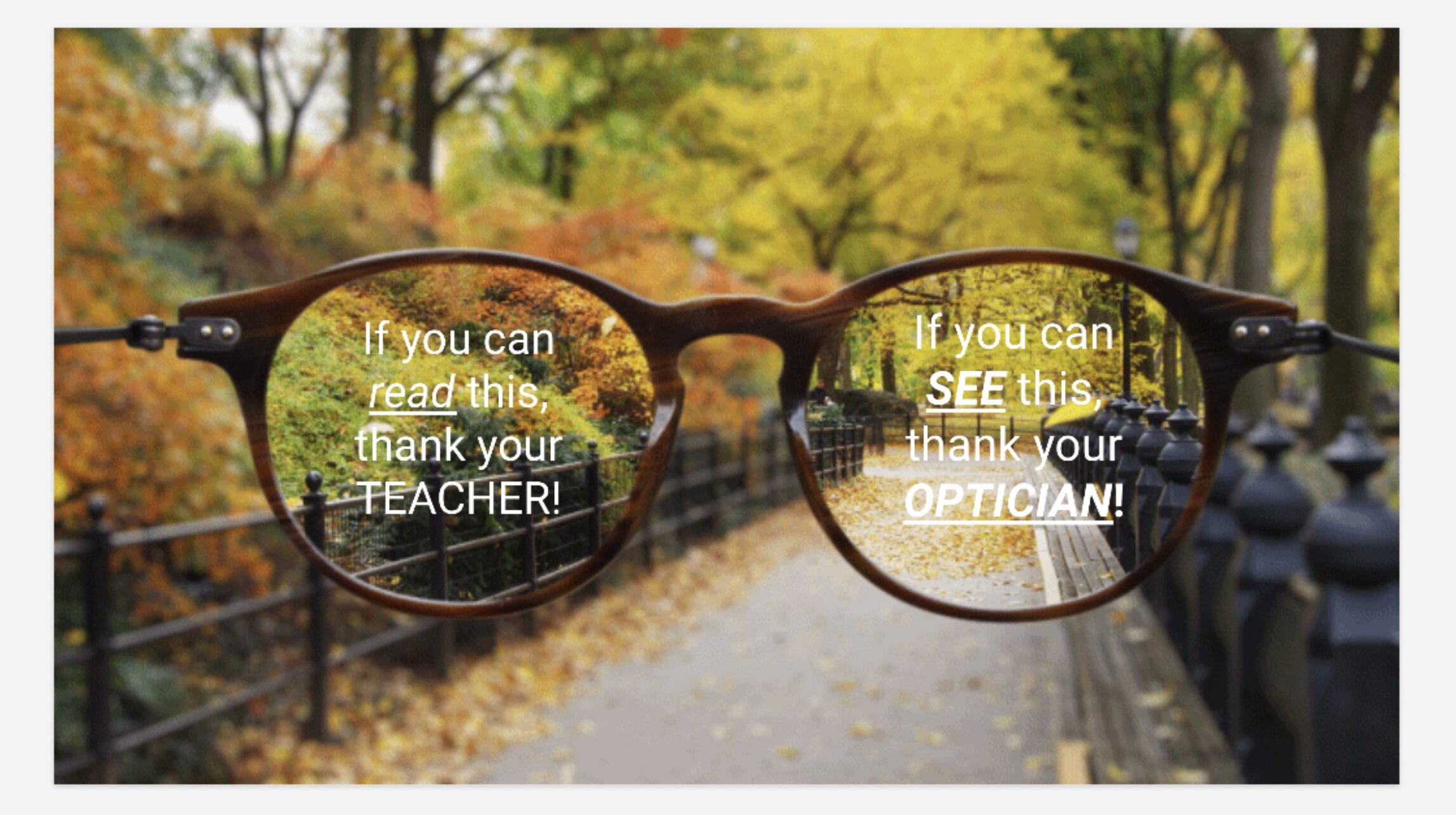 Teacher/Optician